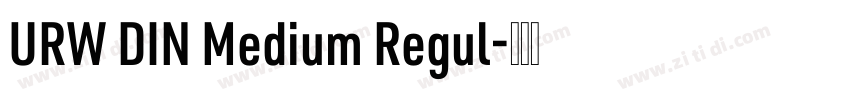 URW DIN Medium Regul字体转换